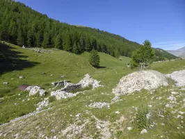 Ligne Maginot - VACHERIE DE ROURE - (Abri) - Ruines de la vacherie