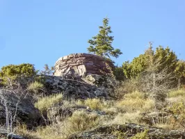 Ligne Maginot - FRACCIA-ROURE BAS (OU EST) - (Observatoire d'artillerie) - 
