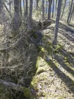 Ligne Maginot - PETITE TETIERE (POINT D'APPUI) - (Divers) - 