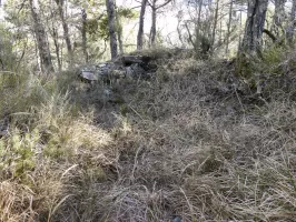 Ligne Maginot - PETITE TETIERE (POINT D'APPUI) - (Divers) - Cuve