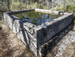 Ligne Maginot - PETITE TETIERE (POINT D'APPUI) - (Divers) - 