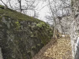 Ligne Maginot - PLANET 1 - (Abri) - Couverture en béton de l'abri 'végétalisée'