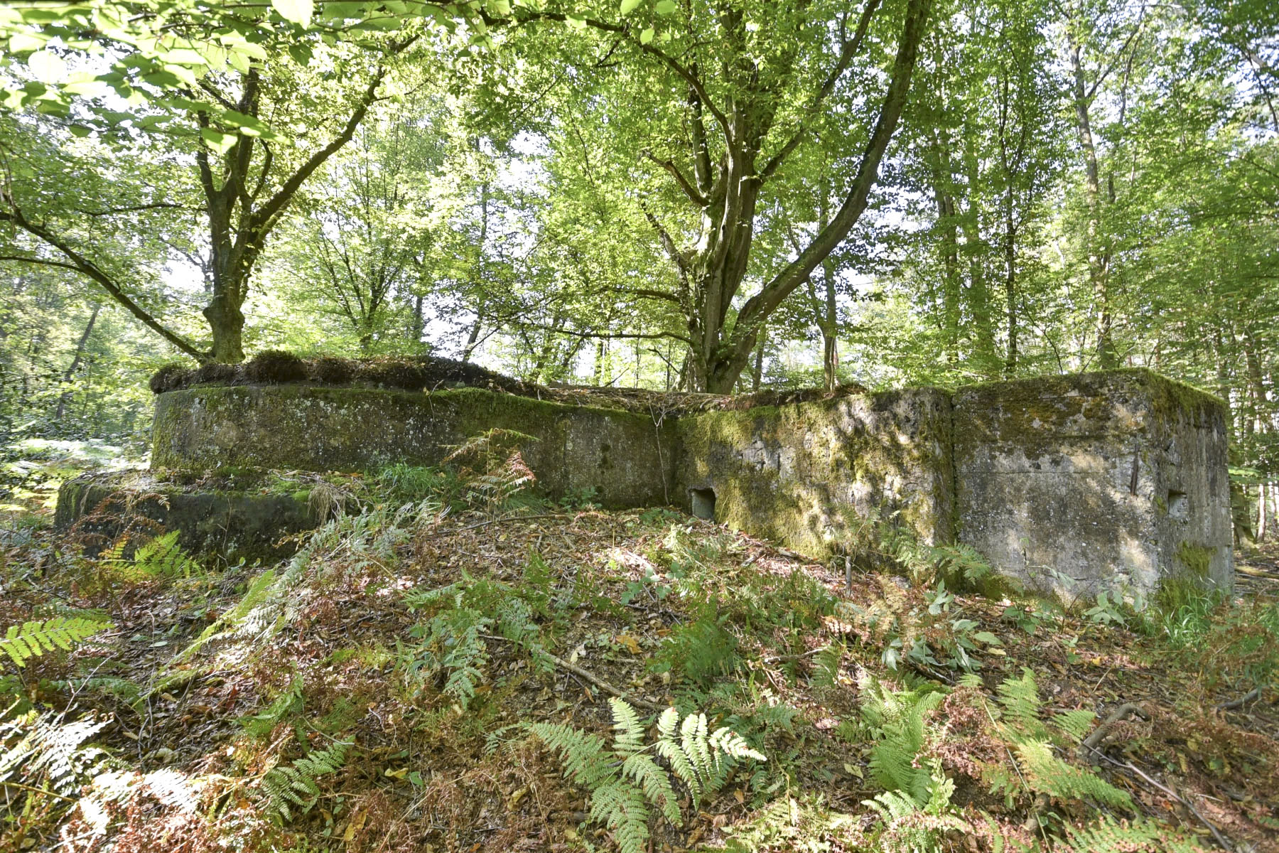 Ligne Maginot - ALLEE DU DEIESLACH 1 - (Blockhaus pour arme infanterie) - 