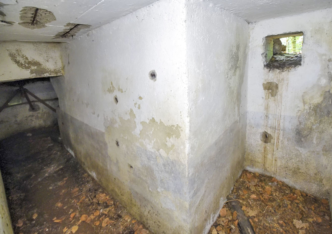 Ligne Maginot - ALLEE DU DEIESLACH 1 - (Blockhaus pour arme infanterie) - 