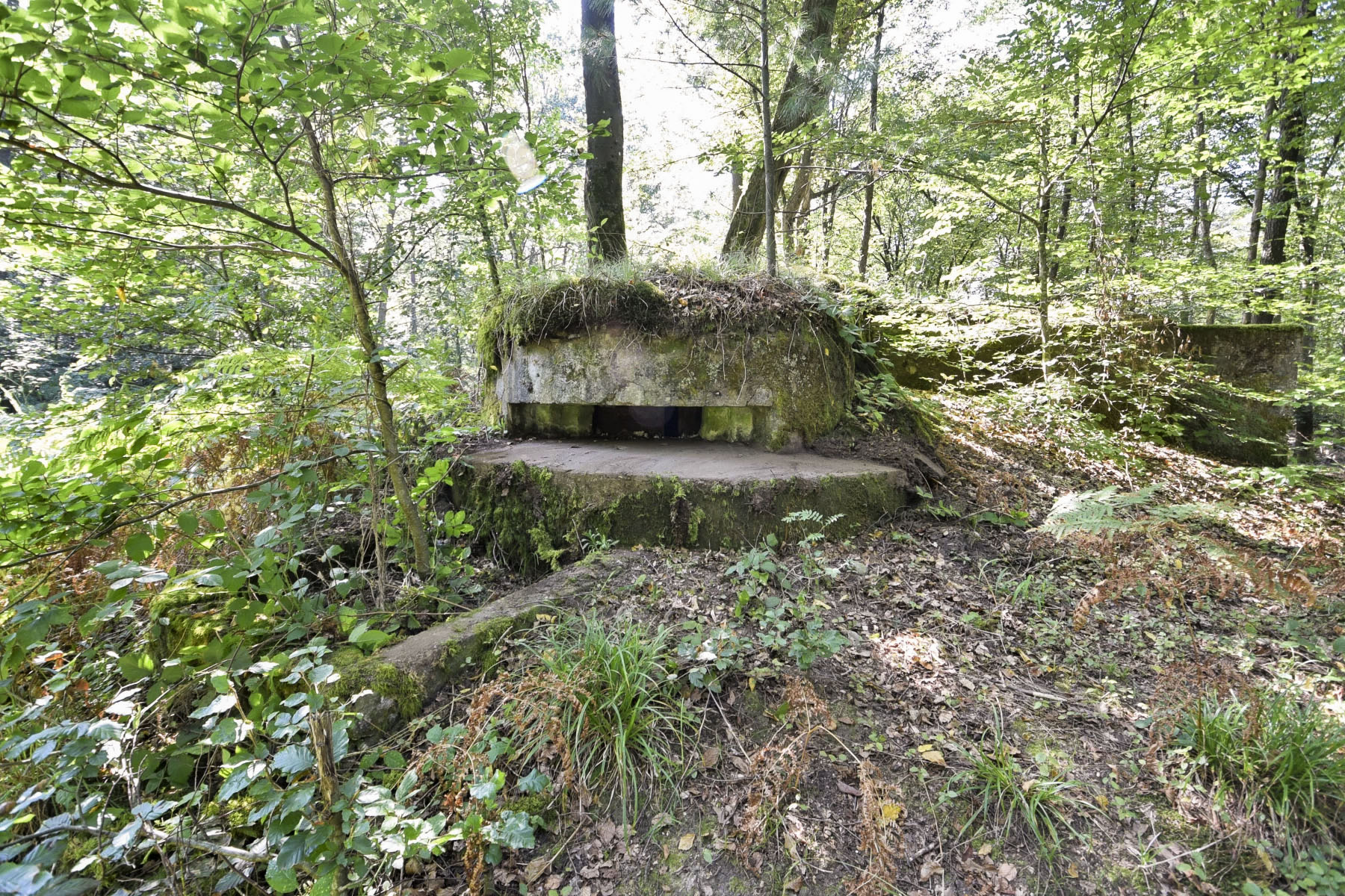 Ligne Maginot - ALLEE DU DEIESLACH 2 - (Blockhaus pour arme infanterie) - 