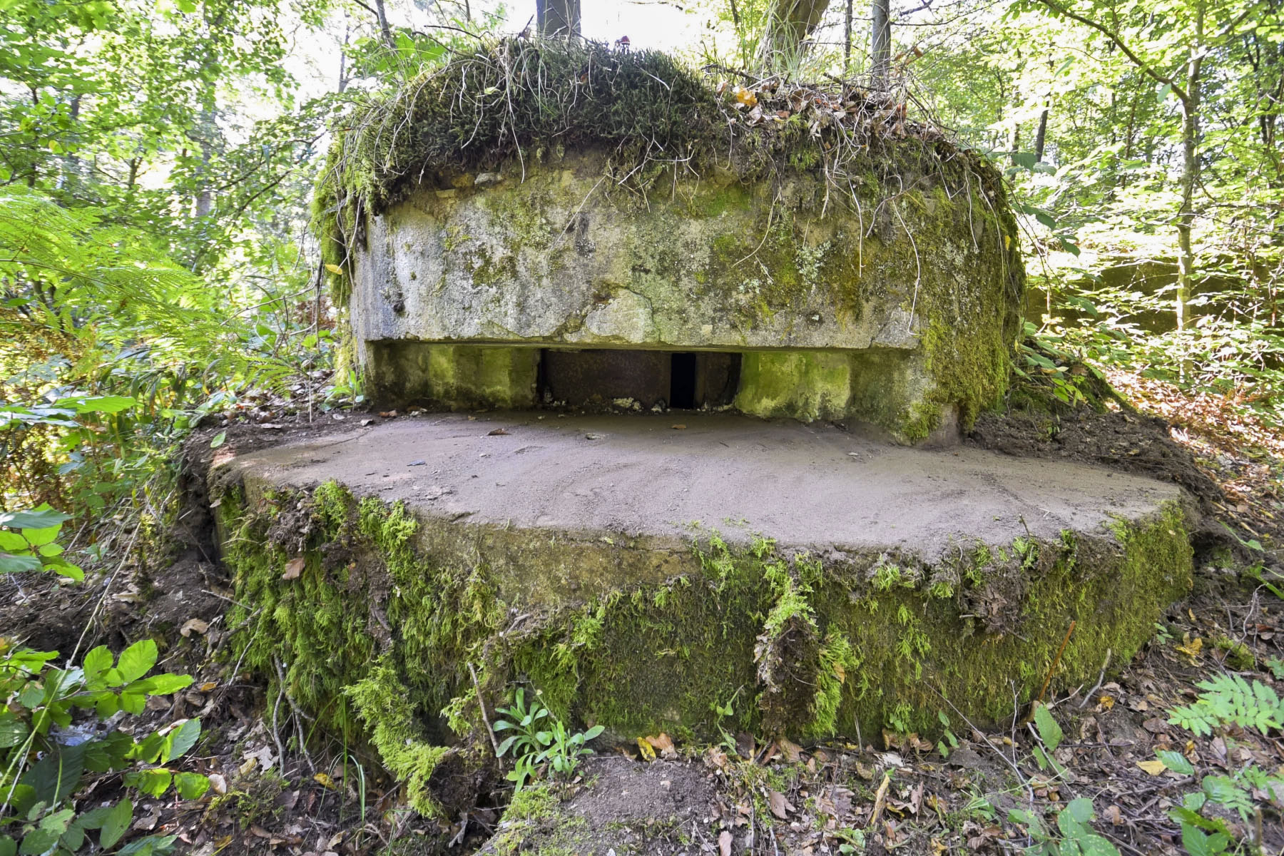 Ligne Maginot - ALLEE DU DEIESLACH 2 - (Blockhaus pour arme infanterie) - 