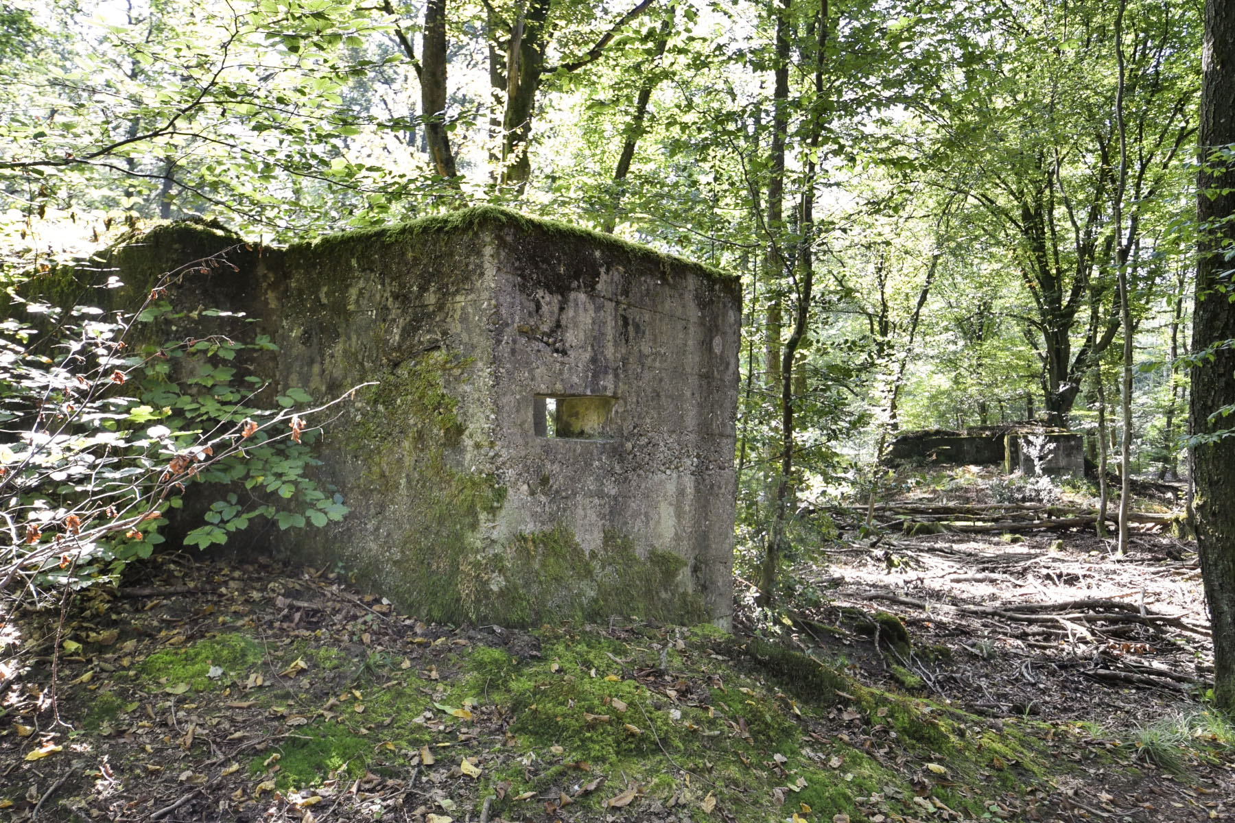Ligne Maginot - ALLEE DU DEIESLACH 2 - (Blockhaus pour arme infanterie) - Les blockhaus sont proches les uns des autres