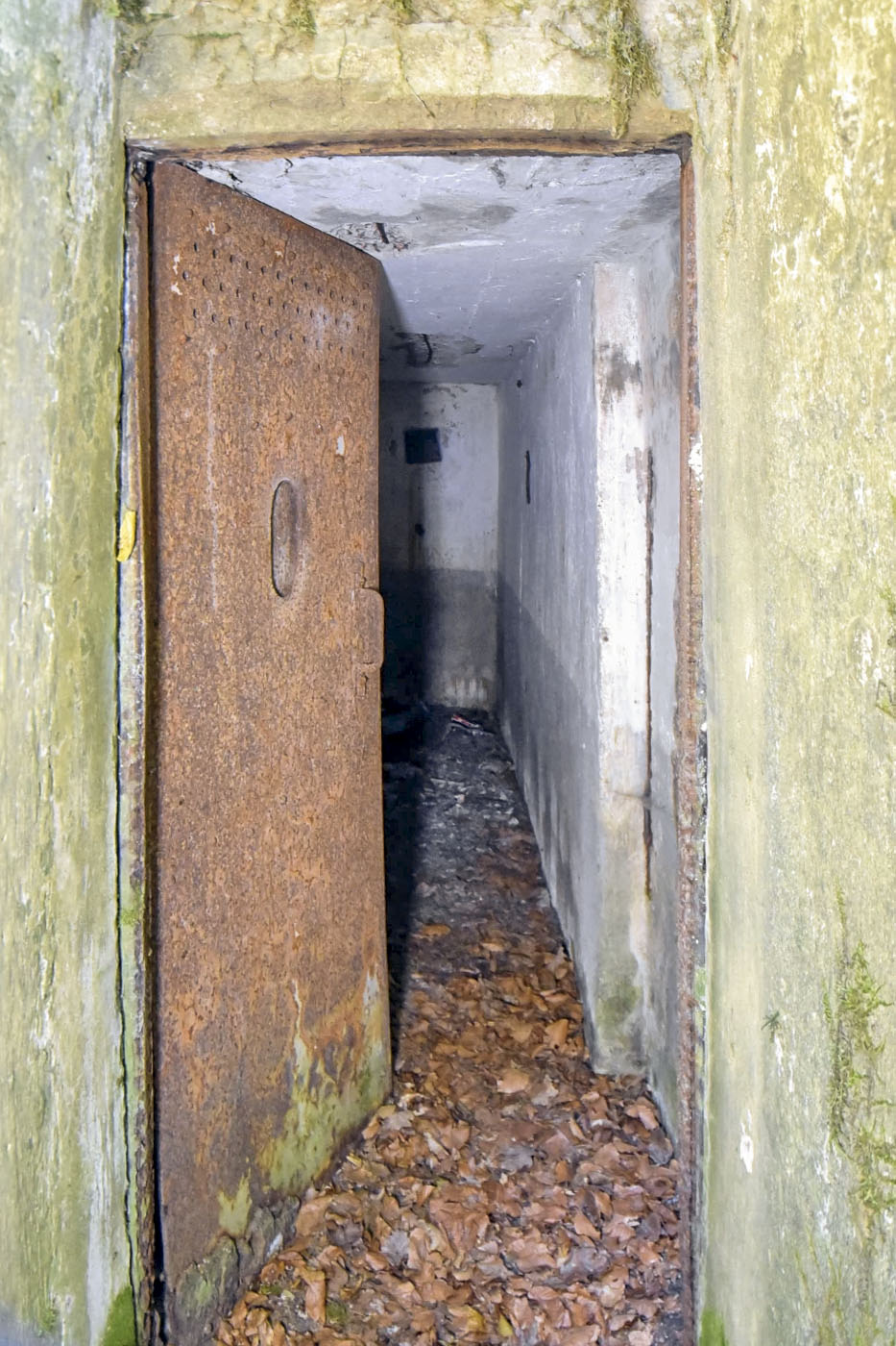 Ligne Maginot - ALLEE DU DEIESLACH 2 - (Blockhaus pour arme infanterie) - 