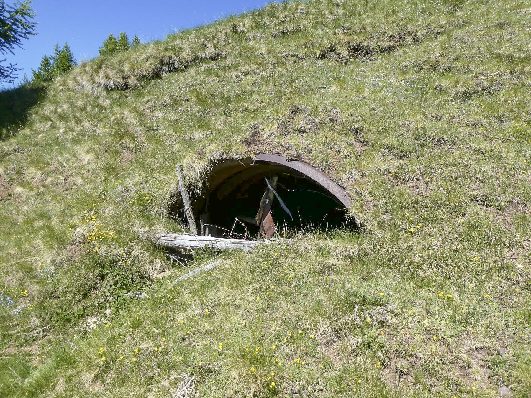 Ligne Maginot - MONT PENAFAYSSE - (Abri) - L'abri