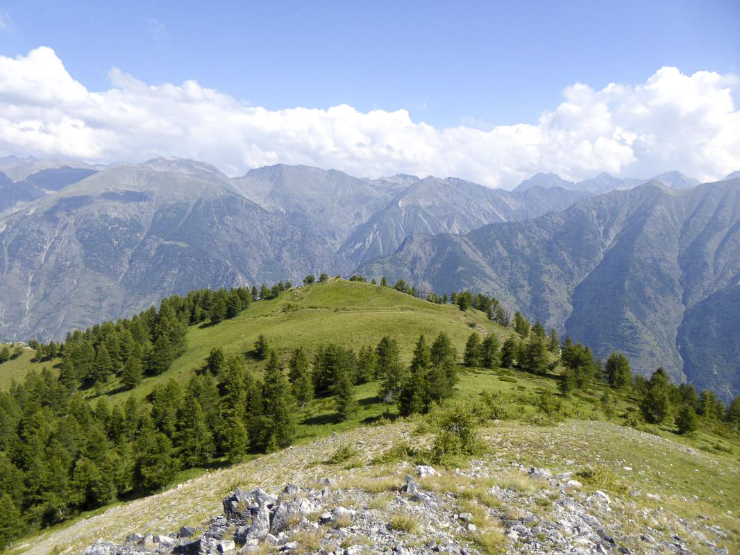 Ligne Maginot - MONT PENAFAYSSE - La position d'infanterie