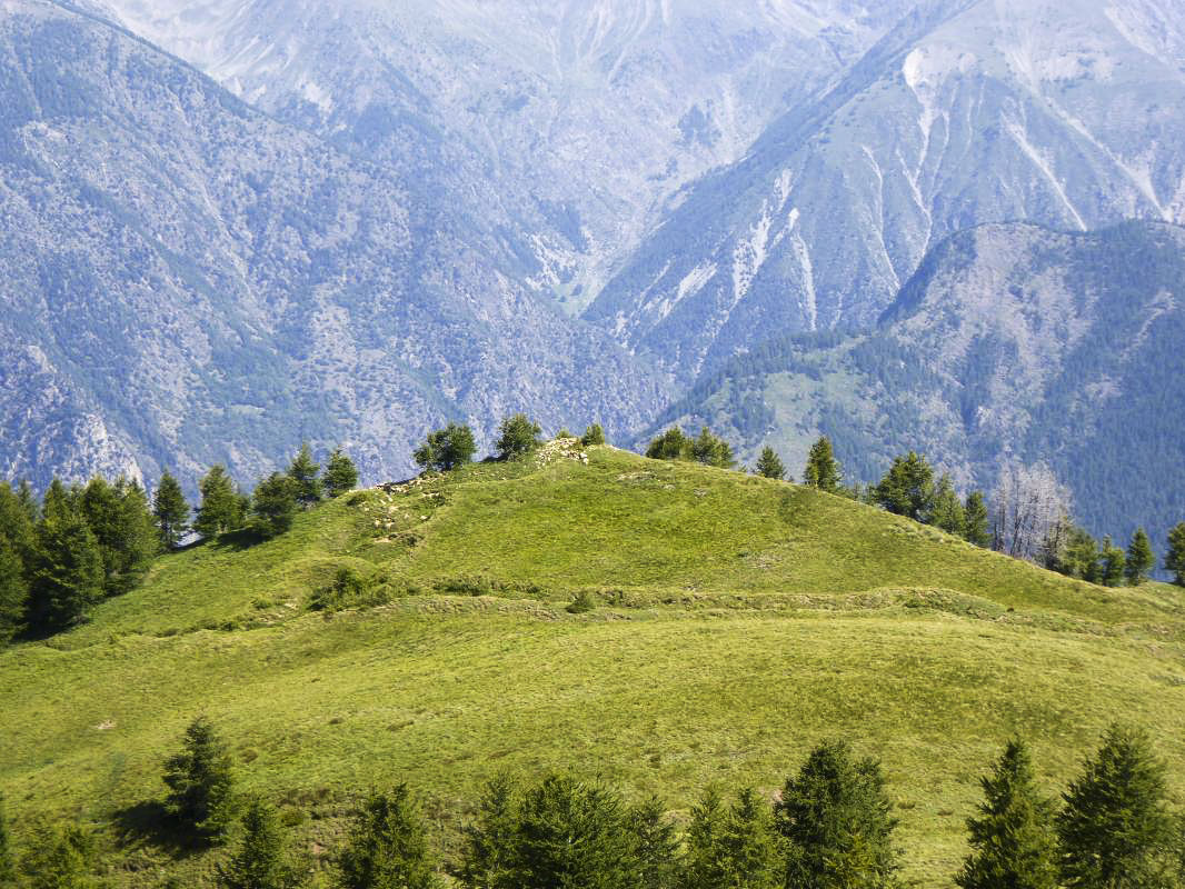 Ligne Maginot - MONT PENAFAYSSE - La position d'infanterie