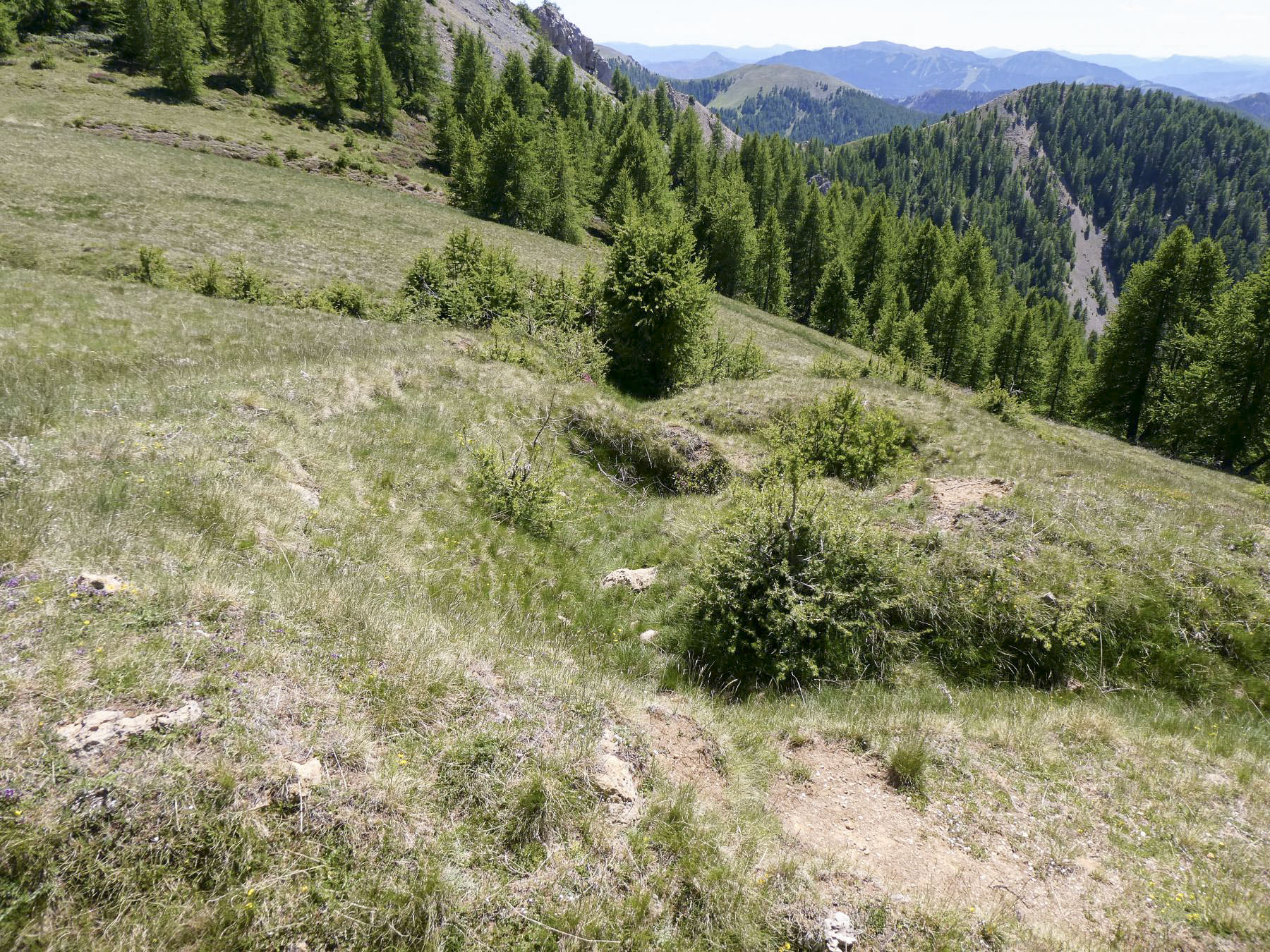 Ligne Maginot - MONT PENAFAYSSE - La position d'infanterie