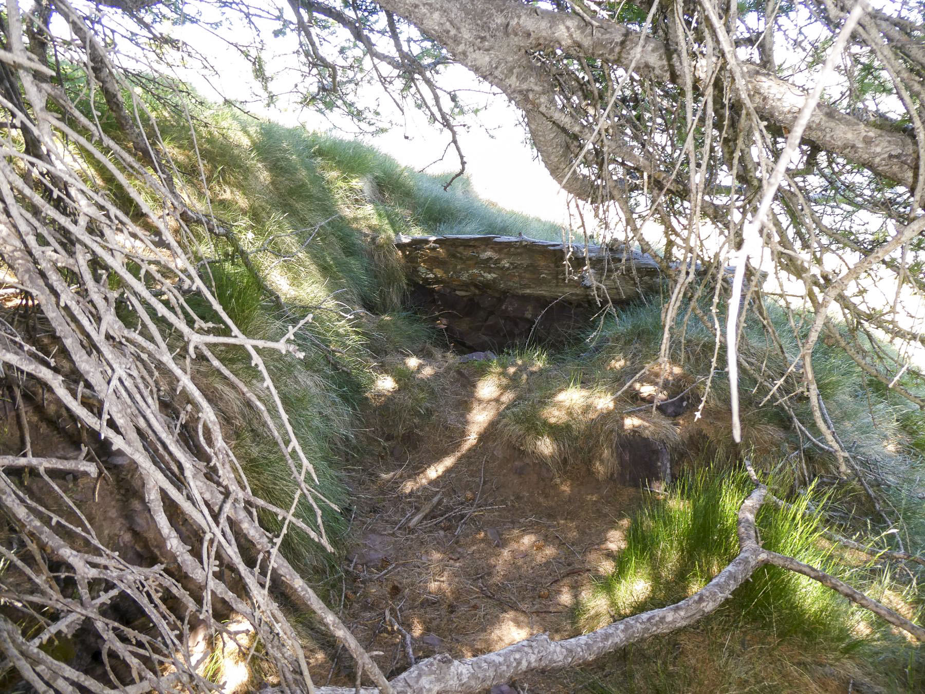 Ligne Maginot - MONT PENAFAYSSE - La position d'infanterie