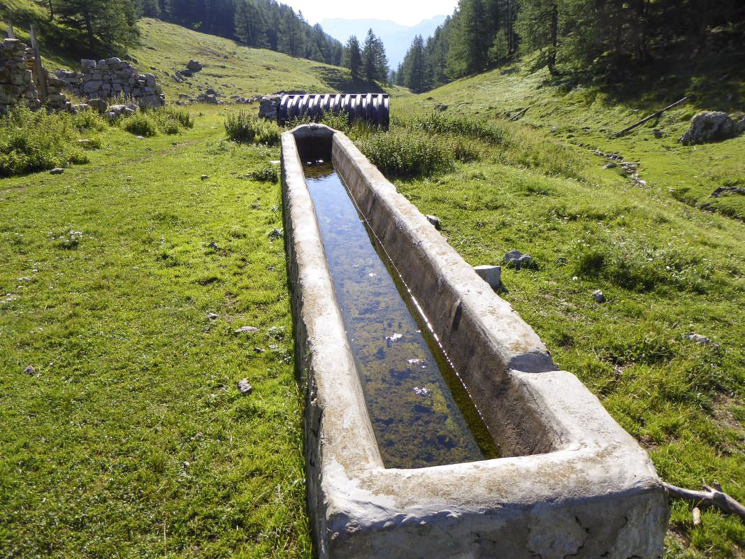Ligne Maginot - VACHERIE DE ROURE - (Abri) - Abri 1