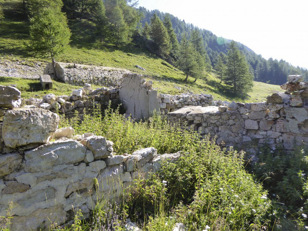 Ligne Maginot - VACHERIE DE ROURE - (Abri) - Ruines de la vacherie