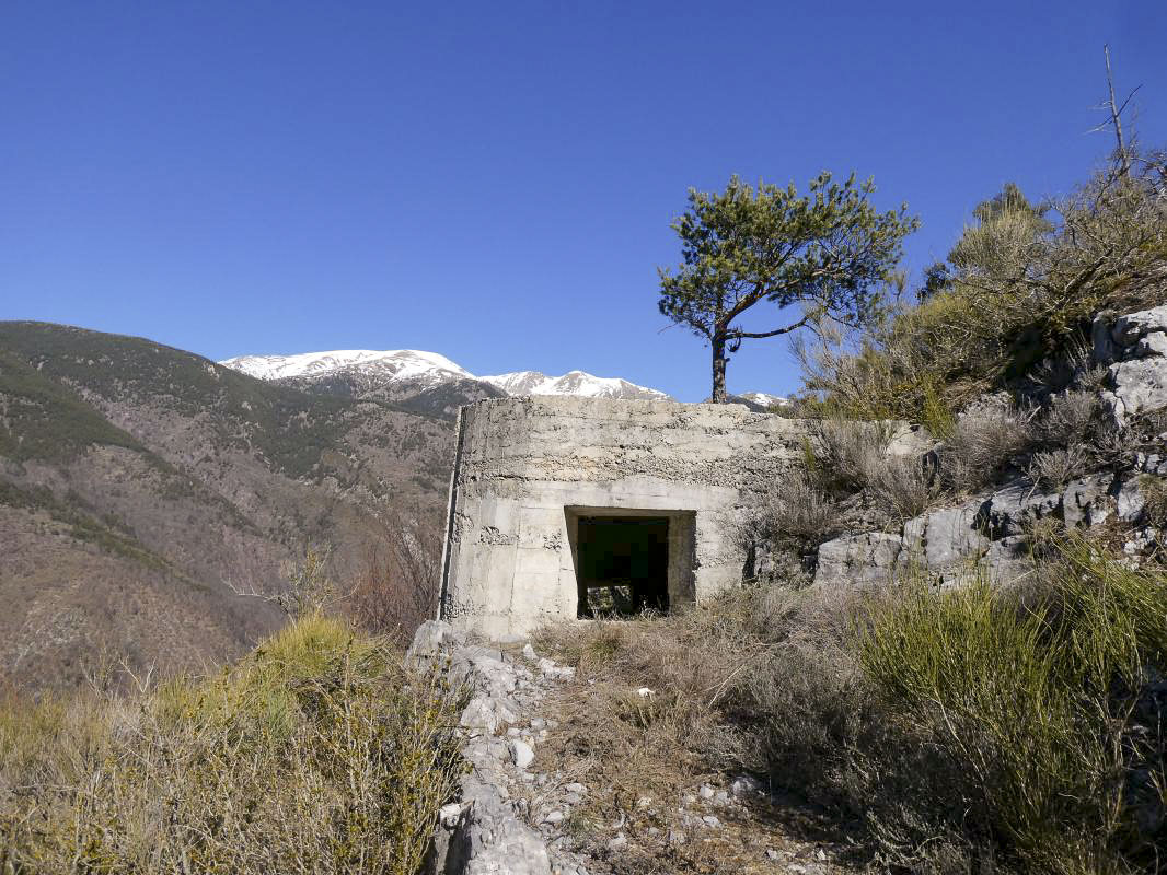 Ligne Maginot - PETITE TETIERE - (Observatoire indeterminé) - 