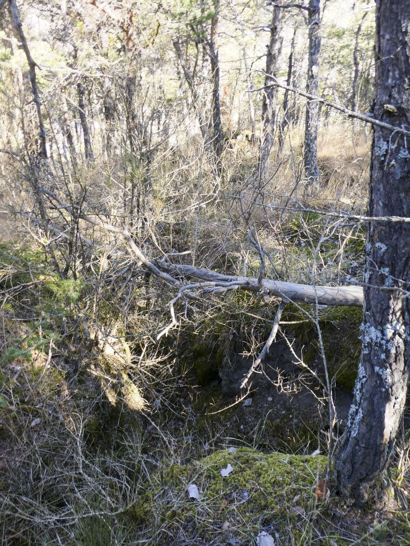 Ligne Maginot - PETITE TETIERE (POINT D'APPUI) - (Divers) - 