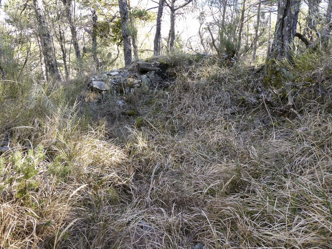Ligne Maginot - PETITE TETIERE (POINT D'APPUI) - (Divers) - Cuve