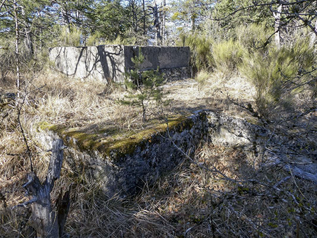 Ligne Maginot - PETITE TETIERE (POINT D'APPUI) - (Divers) - Bassin