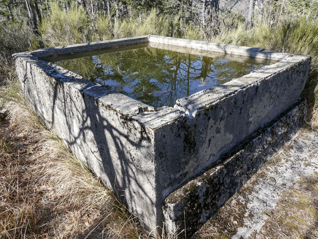 Ligne Maginot - PETITE TETIERE (POINT D'APPUI) - (Divers) - 