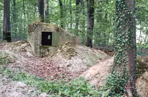 Ligne Maginot - BUCHENHUEBEL 2 - (Blockhaus pour arme infanterie) - 