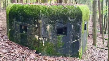Ligne Maginot - GROS CHENE OUEST - (Blockhaus pour arme infanterie) - 