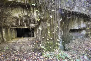 Ligne Maginot - MAULDE SUD OUEST GAUCHE - (Casemate d'infanterie - Simple) - 