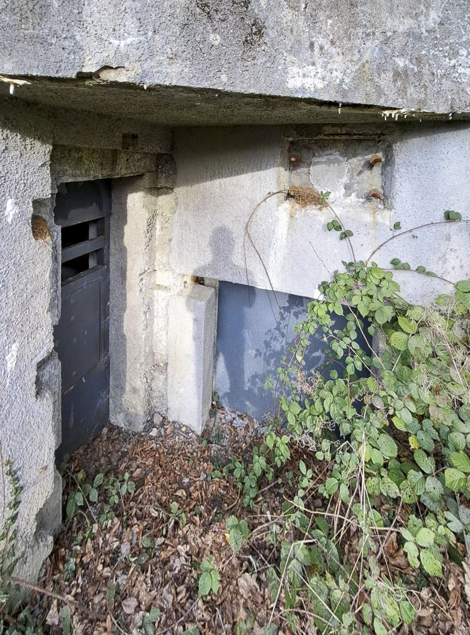 Ligne Maginot - A42 - ROUTE DE SIGNY - (Casemate d'infanterie - Simple) - Entrée matériel obturée et entrée homme adaptée pour les chauves-souris
2023