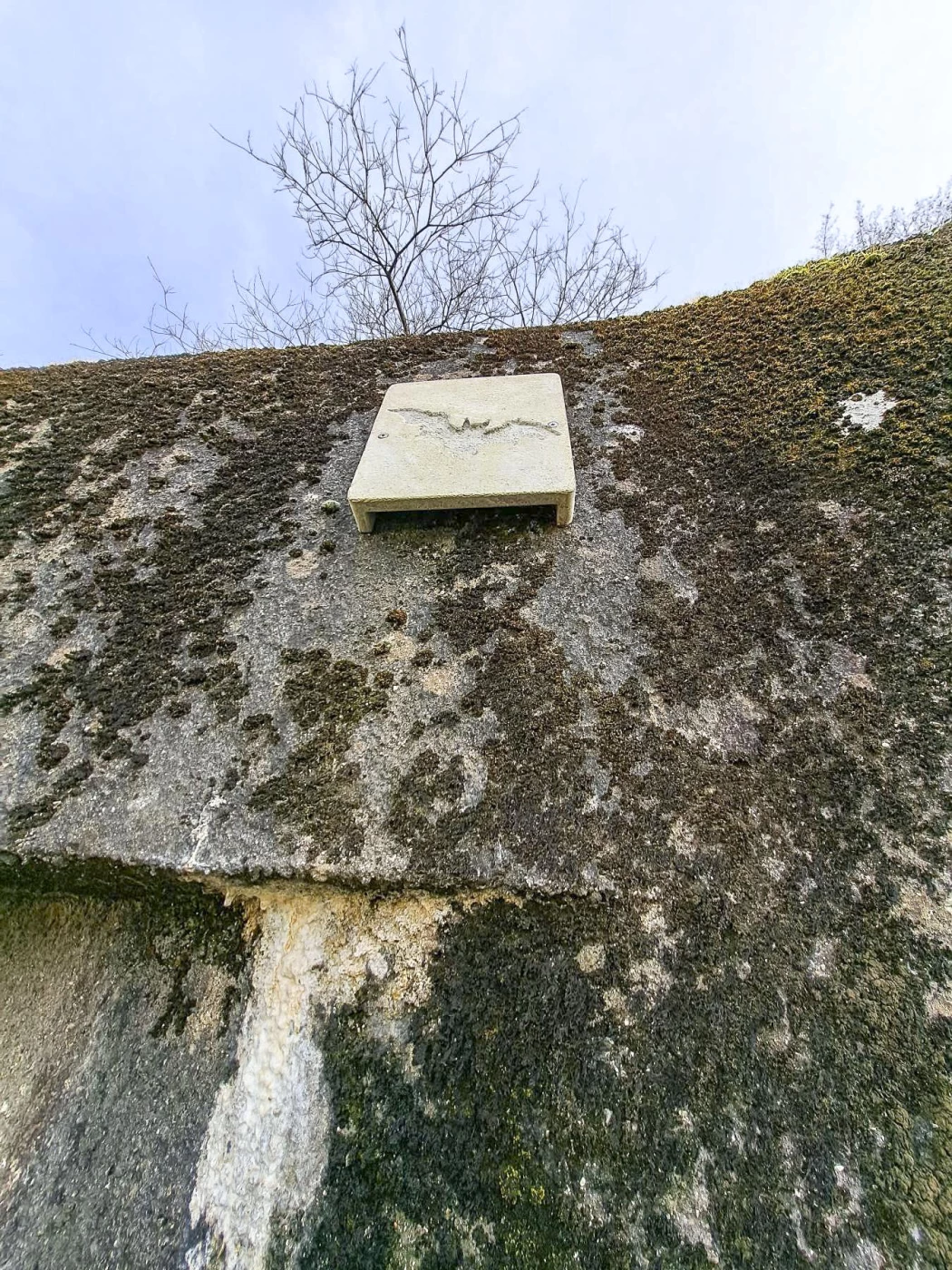 Ligne Maginot - A42 - ROUTE DE SIGNY - (Casemate d'infanterie - Simple) - Boîte à chauves-souris
2023
