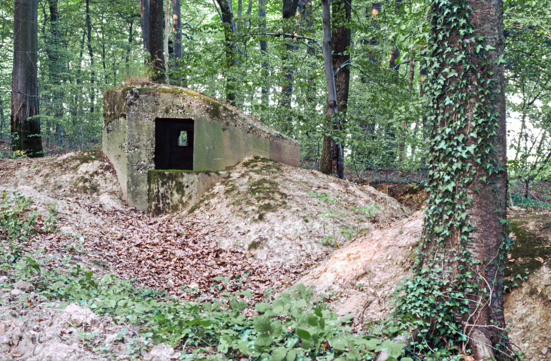Ligne Maginot - BUCHENHUEBEL 2 - (Blockhaus pour arme infanterie) - 