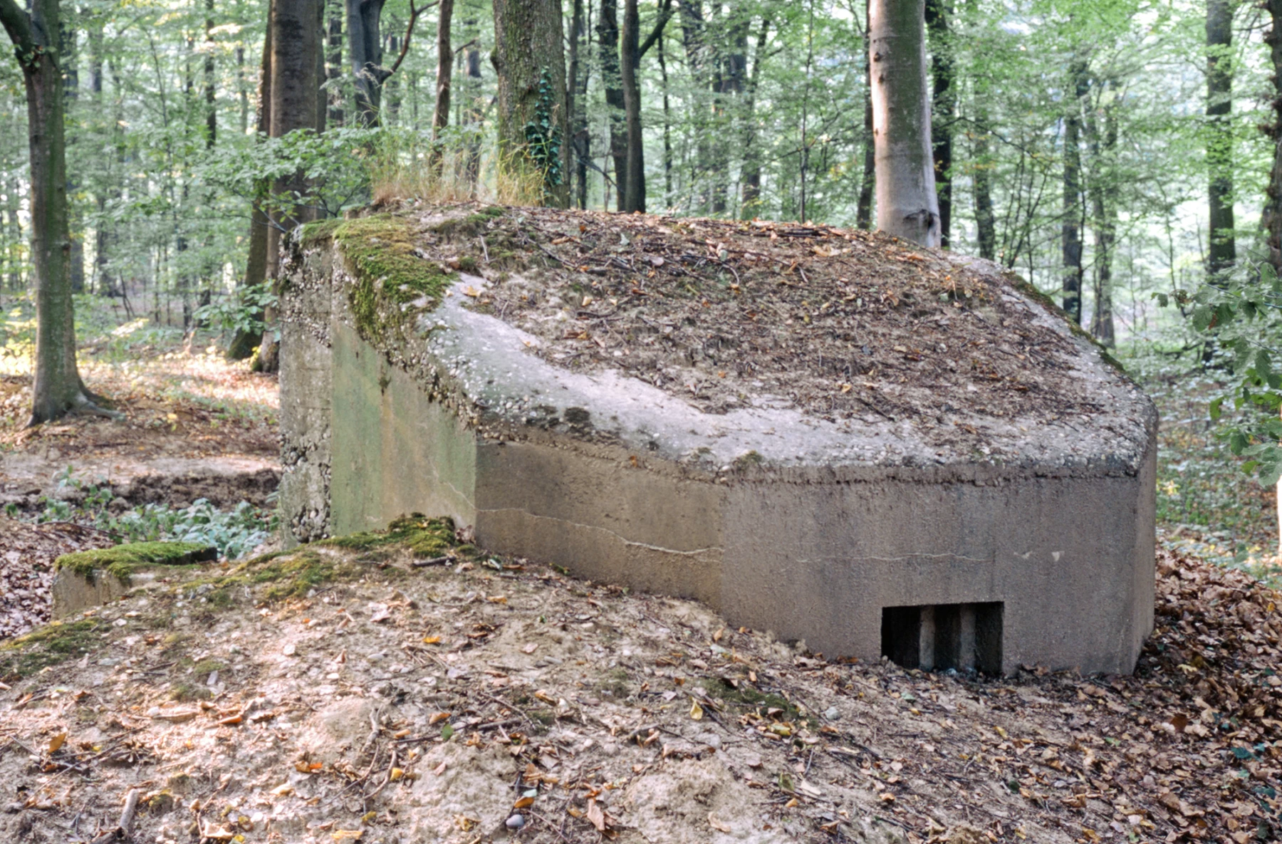 Ligne Maginot - BUCHENHUEBEL 2 - (Blockhaus pour arme infanterie) - 