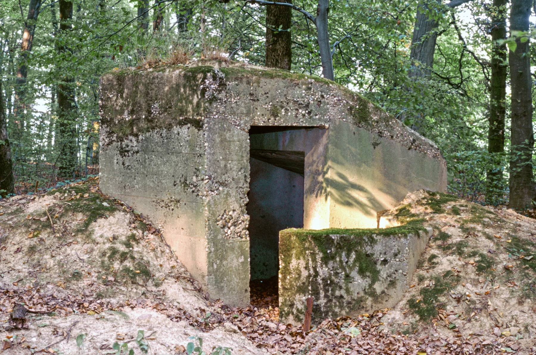 Ligne Maginot - BUCHENHUEBEL 2 - (Blockhaus pour arme infanterie) - 