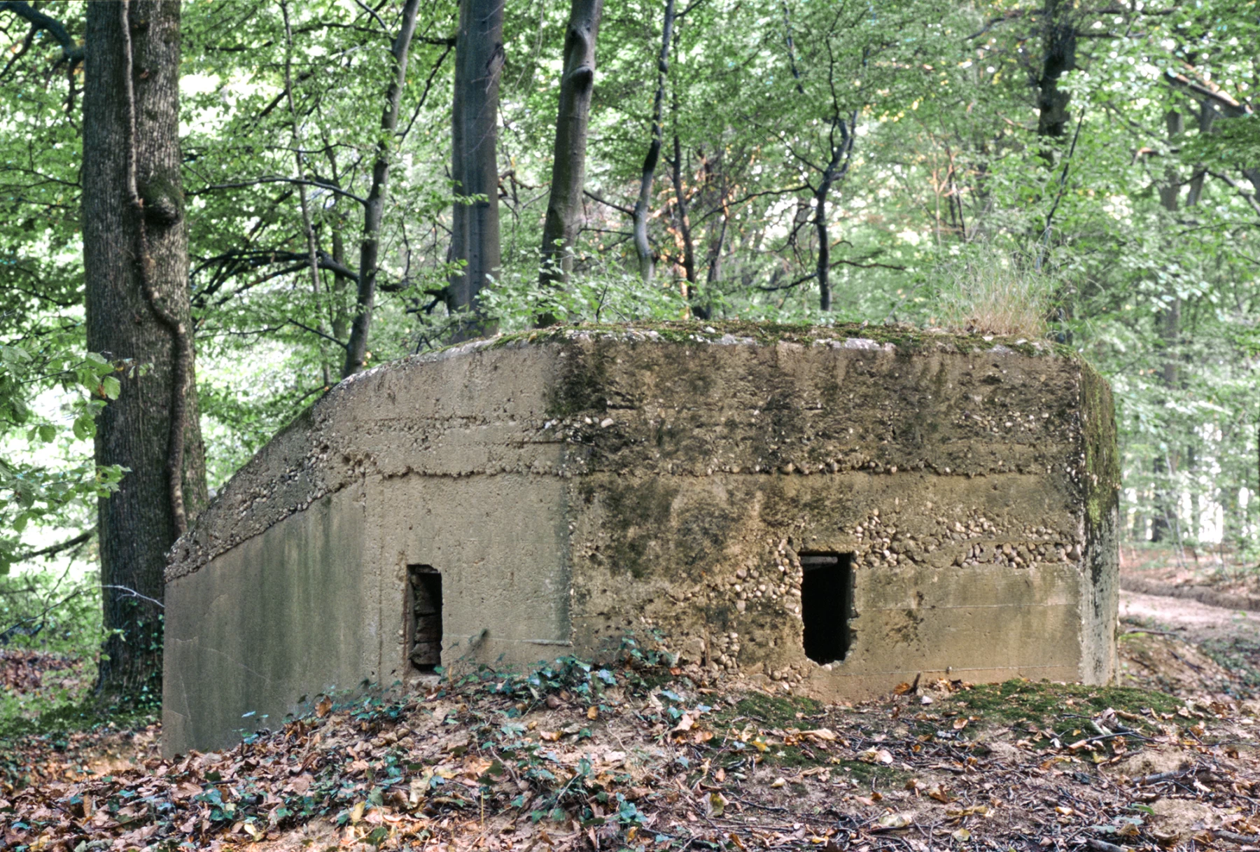 Ligne Maginot - BUCHENHUEBEL 2 - (Blockhaus pour arme infanterie) - 