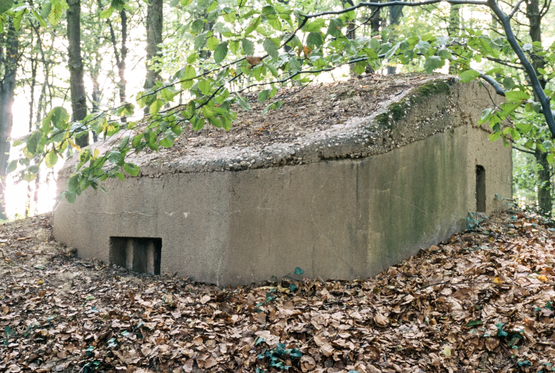 Ligne Maginot - BUCHENHUEBEL 2 - (Blockhaus pour arme infanterie) - 