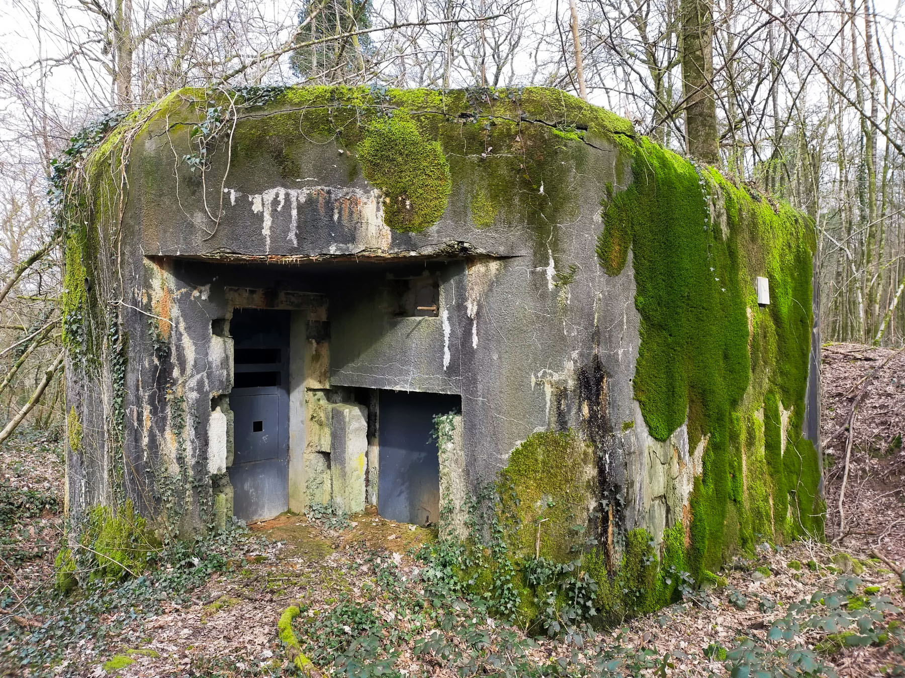 Ligne Maginot - A34 - GRAVIER DU BOIS - (Casemate d'infanterie - Simple) - Les entrées du blockhaus sont fermées.