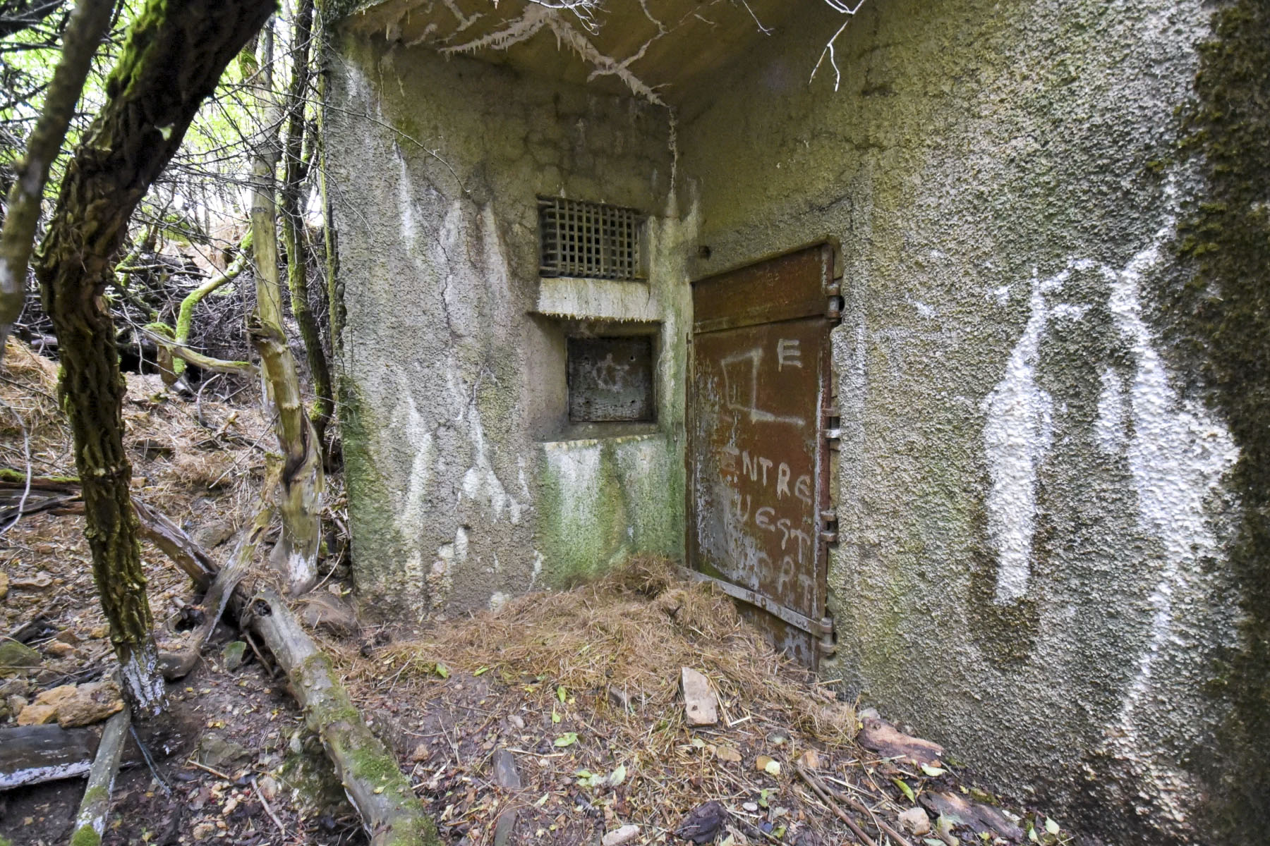 Ligne Maginot - JALAUMONT EST - C10 - (Casemate d'infanterie - Simple) - Entrée Ouest