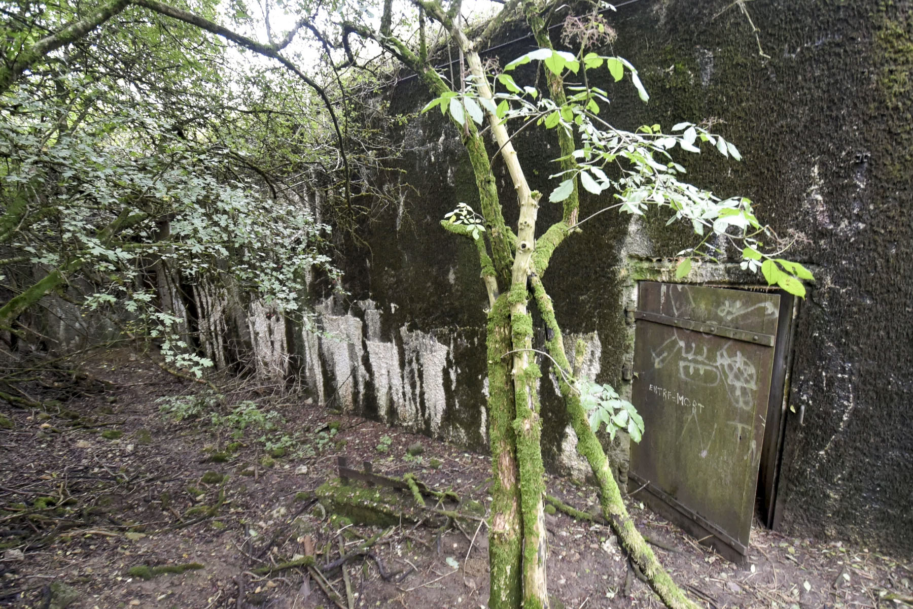 Ligne Maginot - JALAUMONT EST - C10 - (Casemate d'infanterie - Simple) - Entrée Est