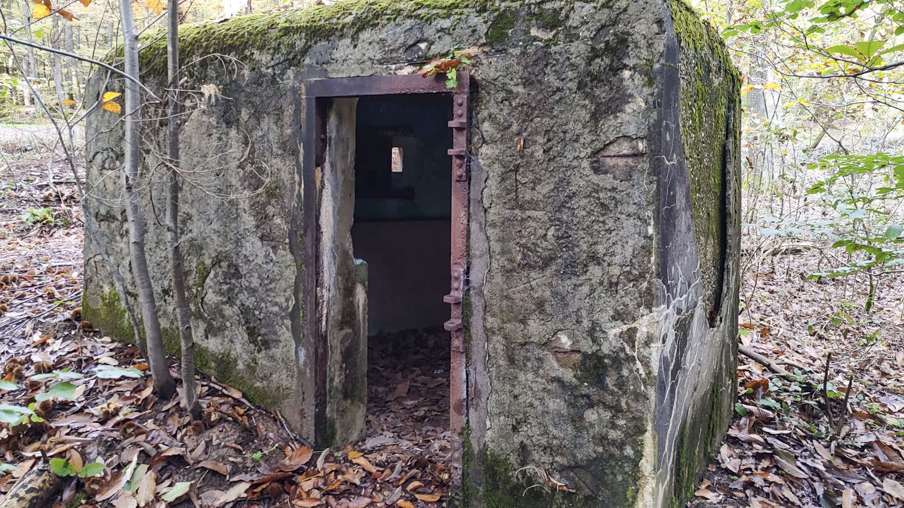 Ligne Maginot - GROS CHENE EST - (Blockhaus pour arme infanterie) - 