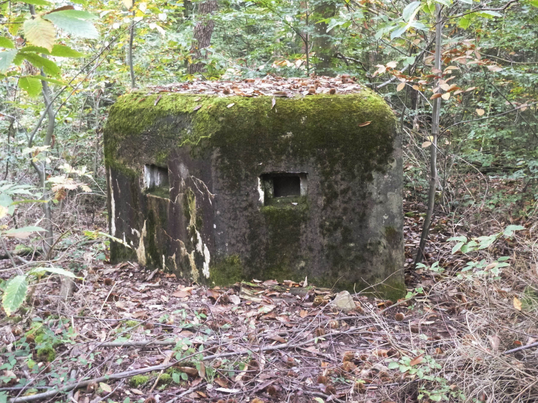 Ligne Maginot - GROS CHENE EST - (Blockhaus pour arme infanterie) - 