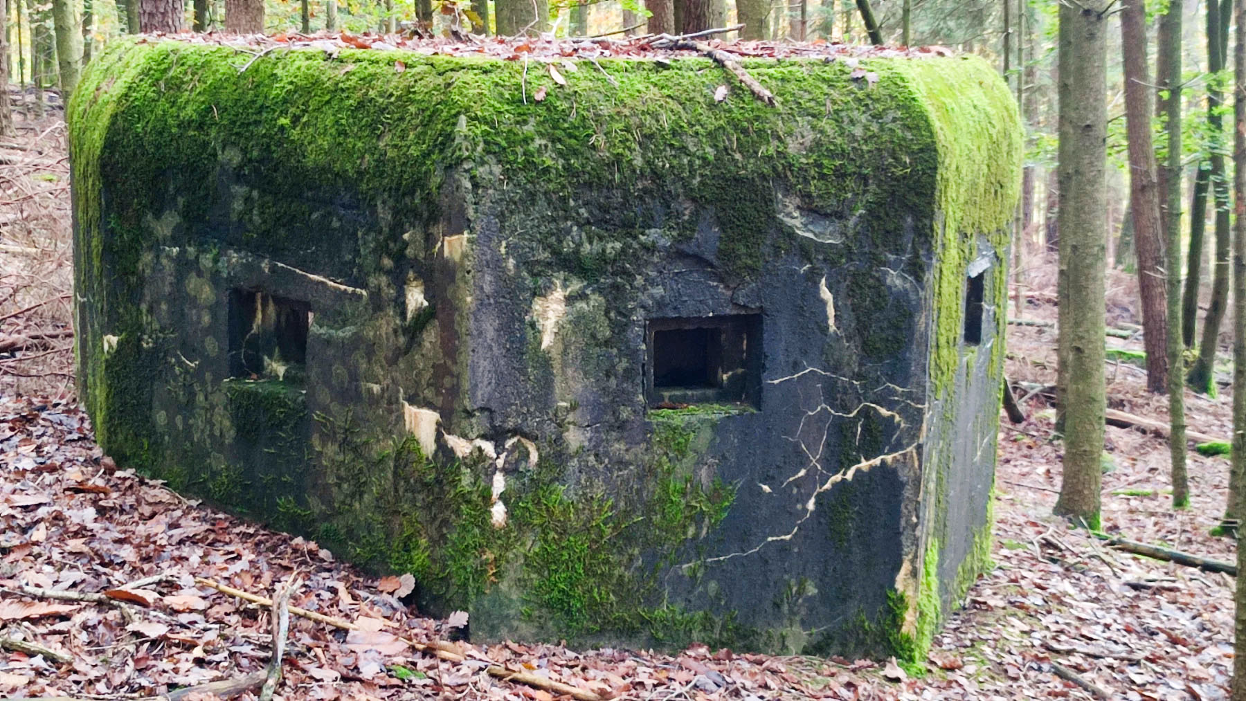 Ligne Maginot - GROS CHENE OUEST - (Blockhaus pour arme infanterie) - 