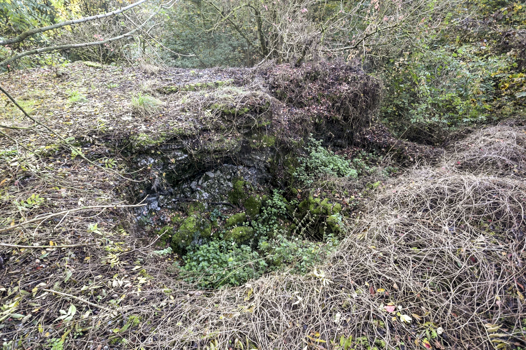 Ligne Maginot - MAULDE SUD OUEST GAUCHE - (Casemate d'infanterie - Simple) - 