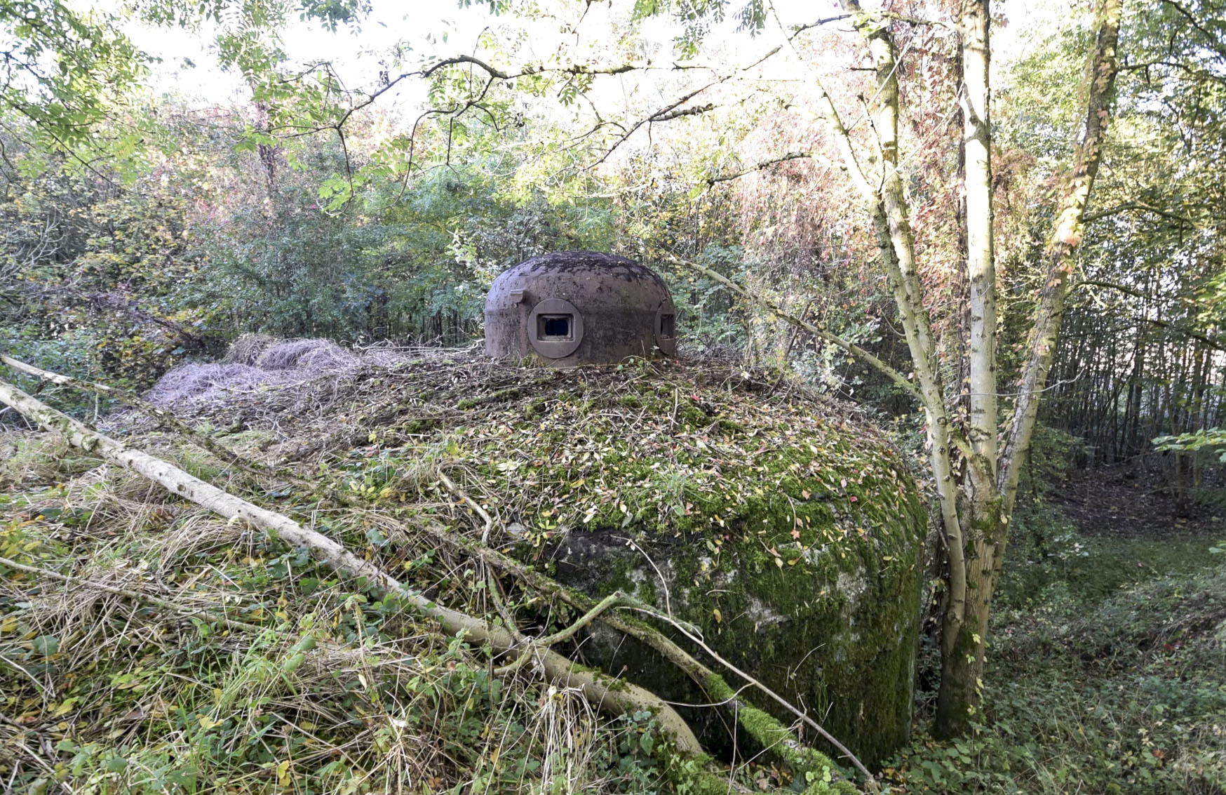 Ligne Maginot - MAULDE SUD OUEST GAUCHE - (Casemate d'infanterie - Simple) - 
