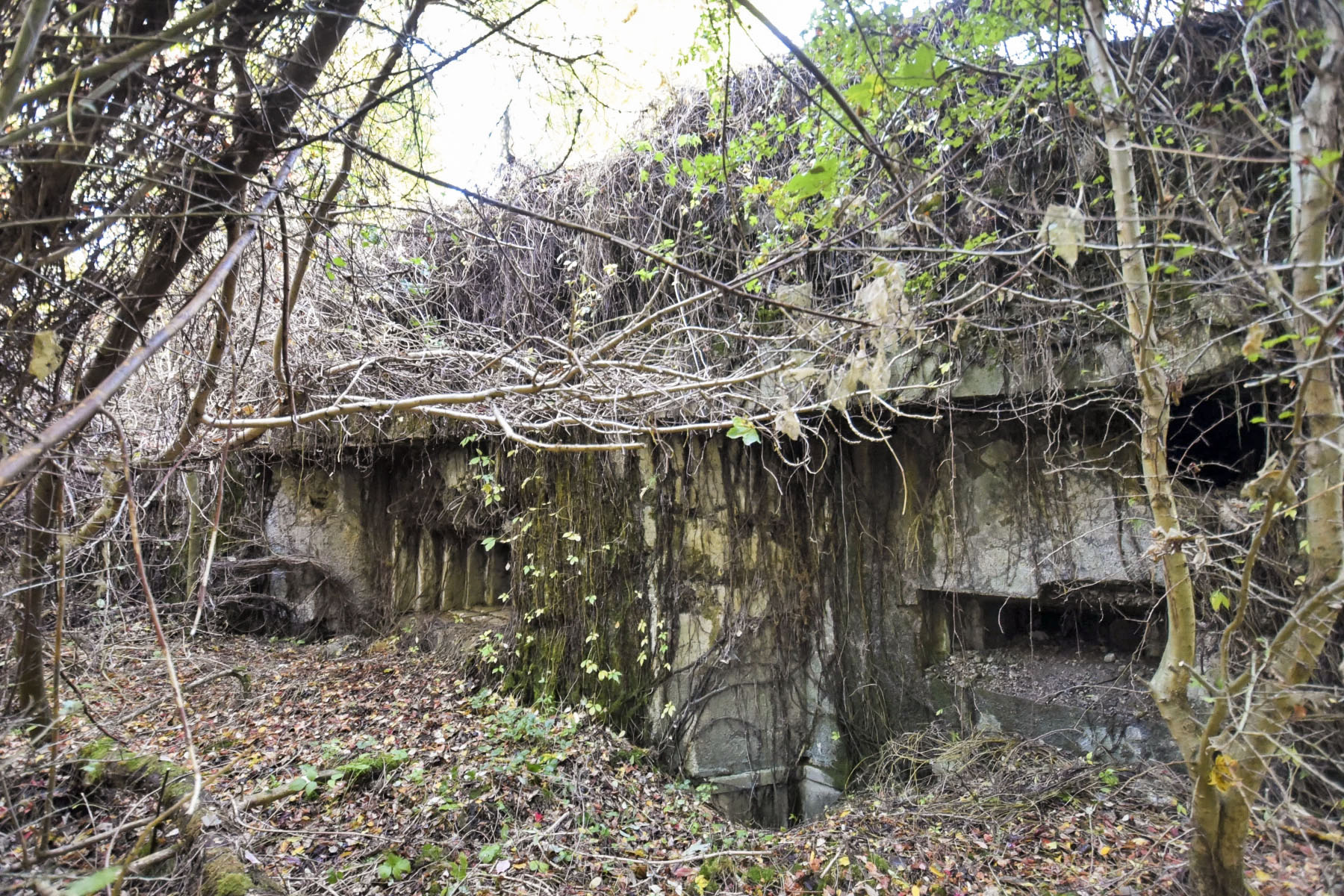 Ligne Maginot - MAULDE SUD OUEST GAUCHE - (Casemate d'infanterie - Simple) - 