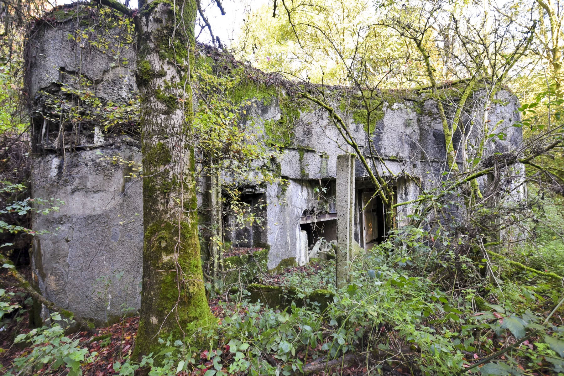 Ligne Maginot - MAULDE SUD OUEST GAUCHE - (Casemate d'infanterie - Simple) - L'entrée hommes et materiel