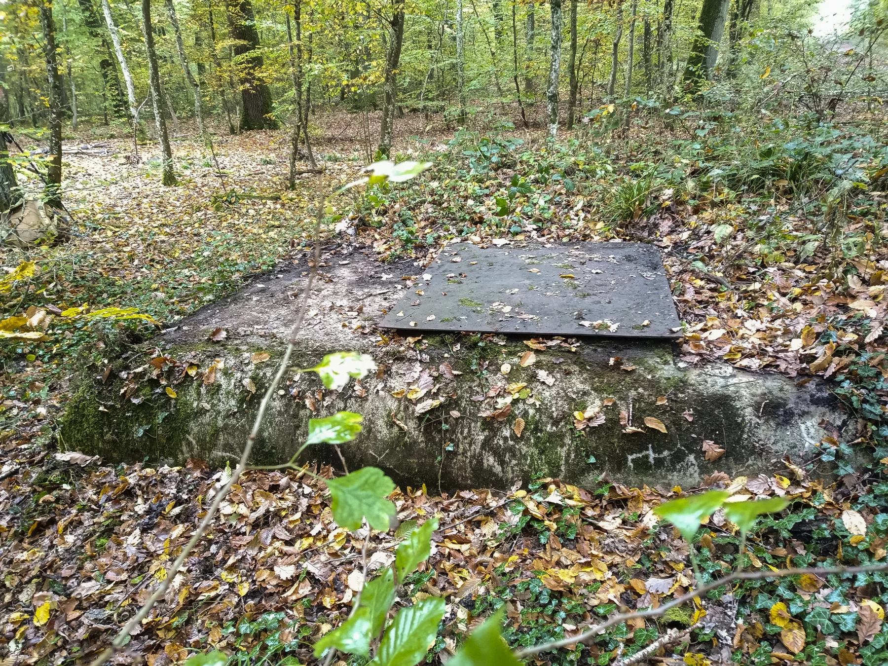 Ligne Maginot - 34T - (Chambre de coupure) - 