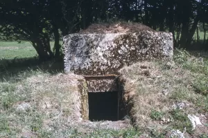 Ligne Maginot - NONNENWALD 6 - (Blockhaus pour arme infanterie) - 