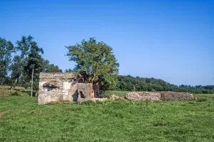 Ligne Maginot - MUEHLGEWANN - (Blockhaus pour arme infanterie) - 