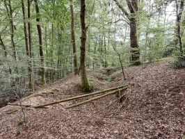 Ligne Maginot - KRAEHFELSEN - (Abri) - Tranchée et postes de tir