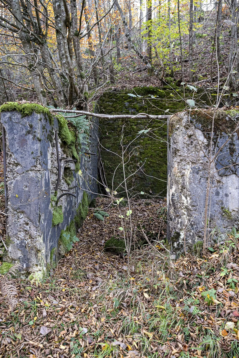Ligne Maginot - WEIHERSTHAL SUD - (Blockhaus pour canon) - L'entrée protegé