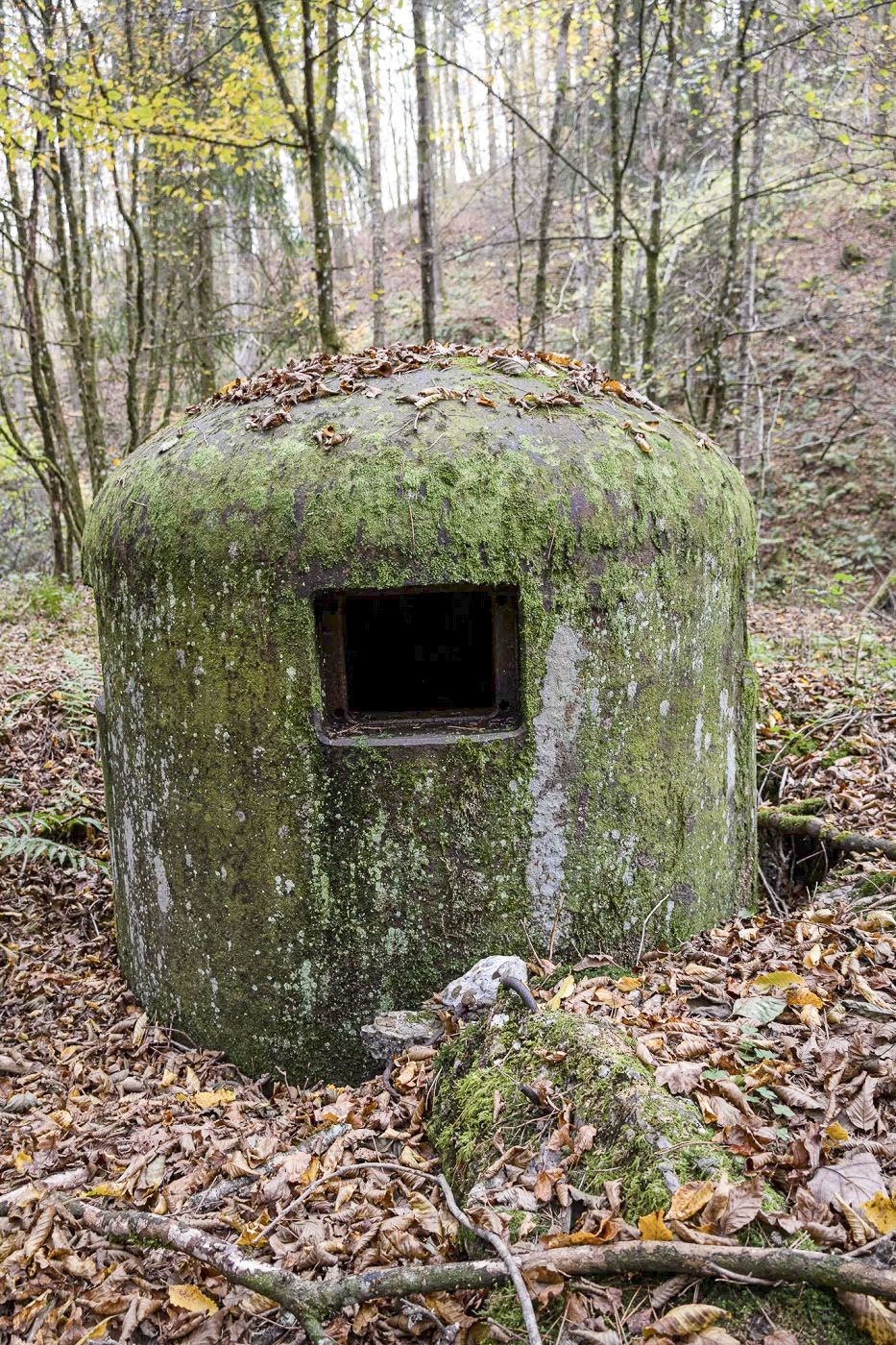 Ligne Maginot - ROTHENBOURG - (Casemate d'infanterie - Double) - Cloche GFM Ouest est en partie déchaussée